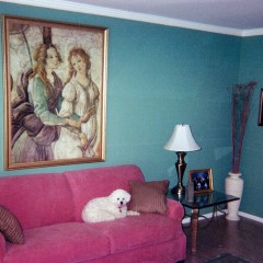 Fine Interior Painting