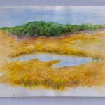 Wetlands-Eastern Shore, Md. Study #2