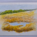 Wetlands-Eastern Shore, Md. Study #3